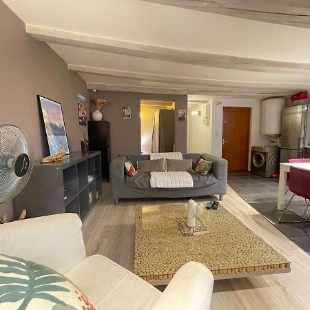 Ferienwohnung Le Plein Air D'Annecy, Proche Gare Exterior foto